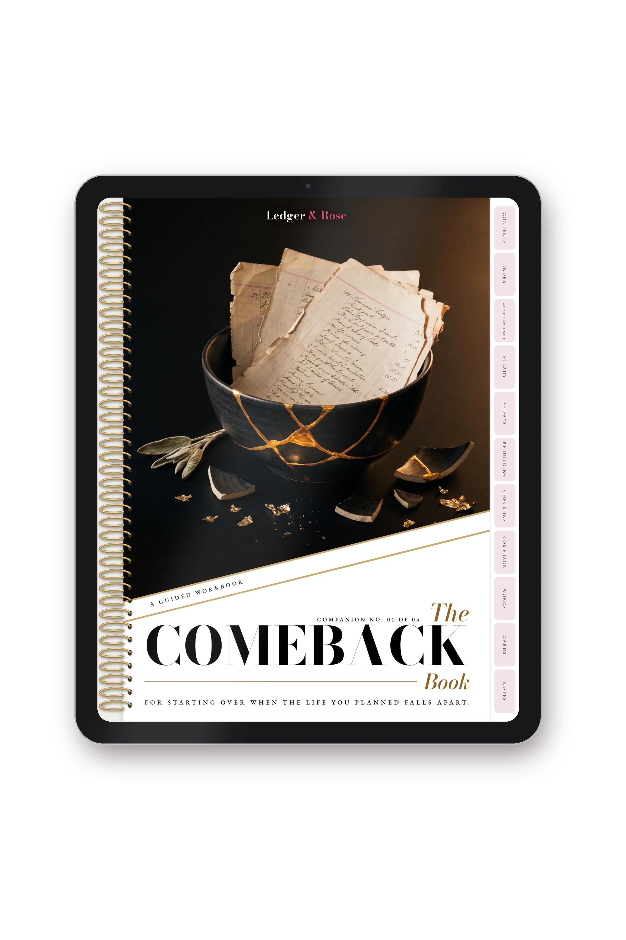 The Comeback Book — Digital Edition, front cover