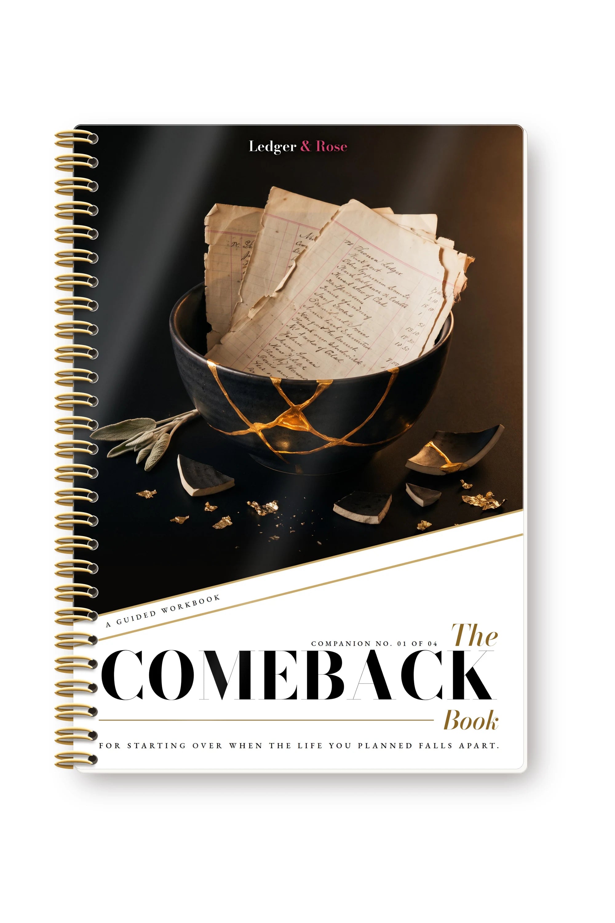 The Comeback Book — Printed Edition